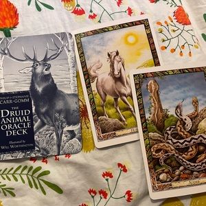 The Druid Animal Oracle deck